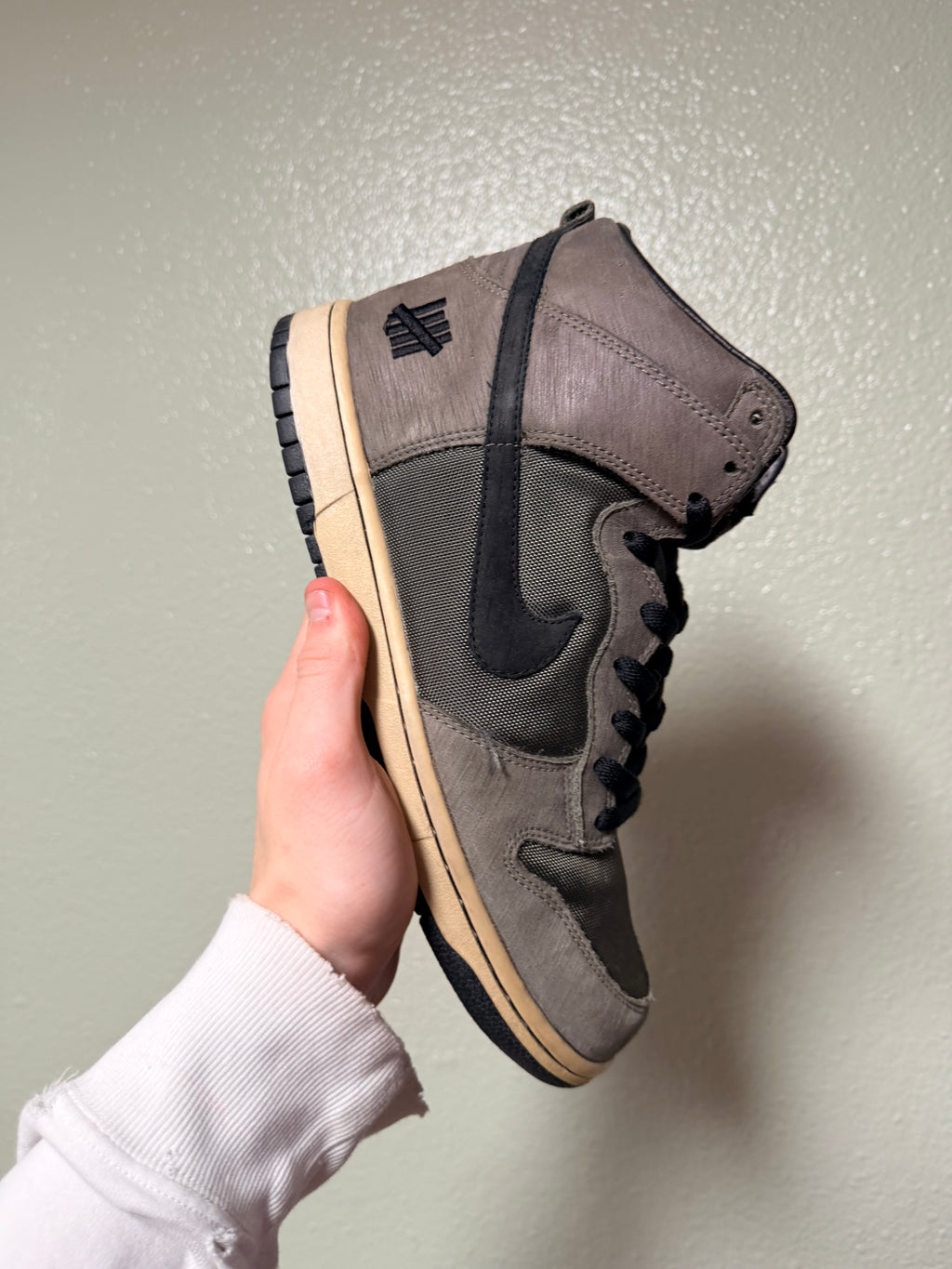 Nike Dunk Highs
