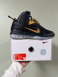 LeBron 9