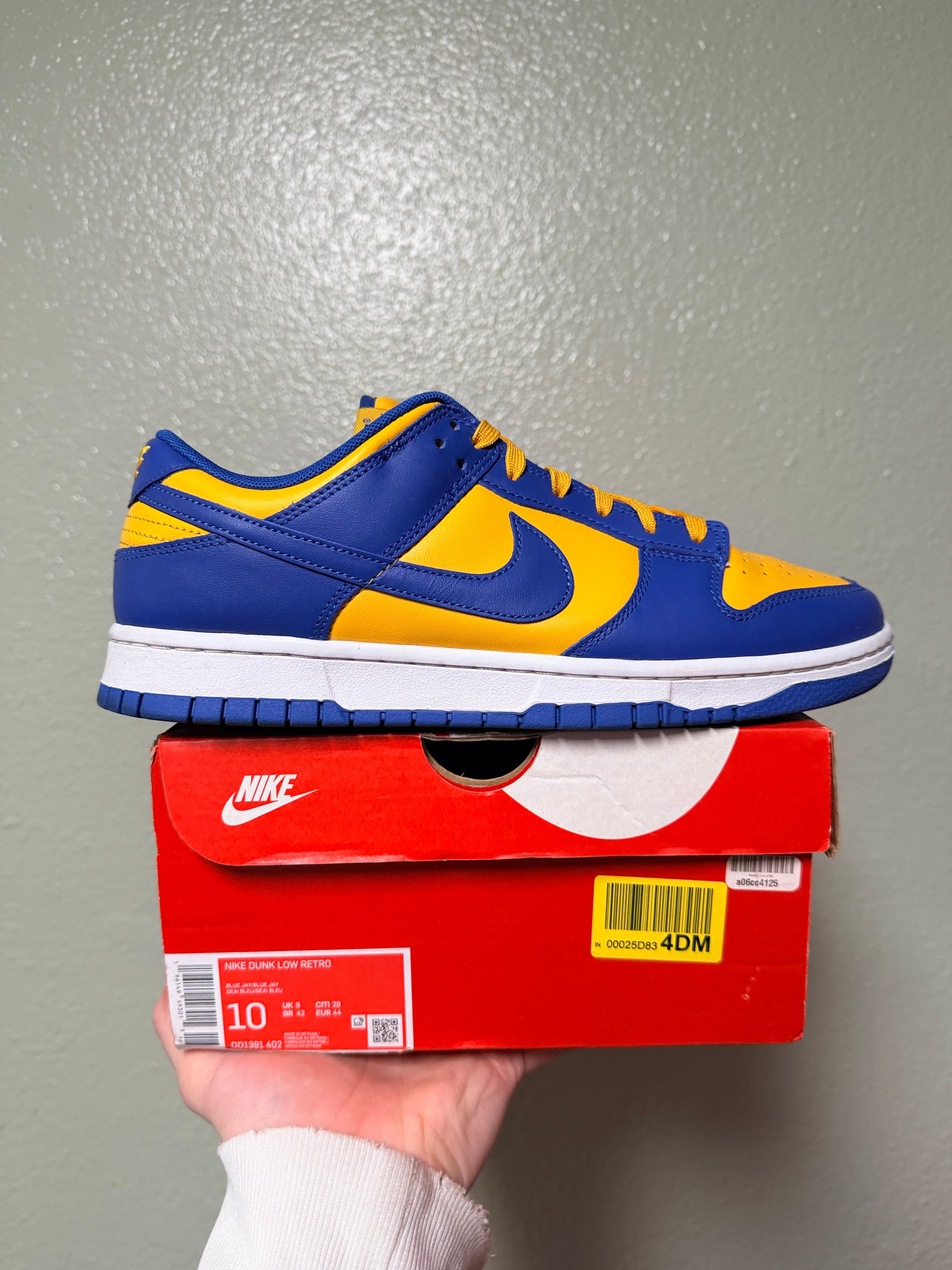 Nike Dunk Low
