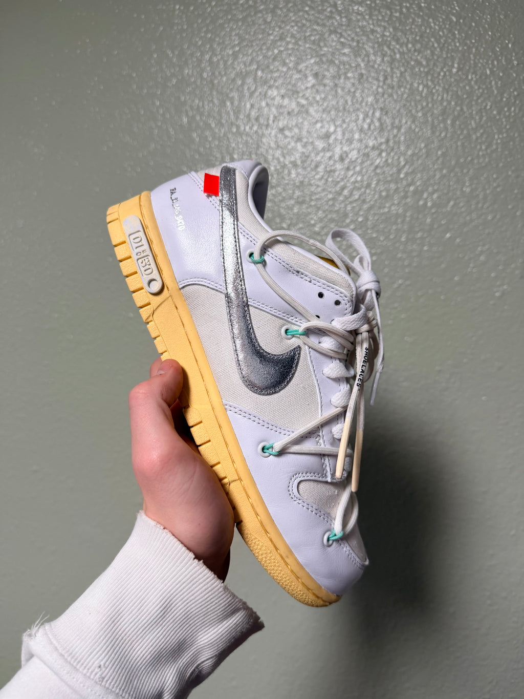 Off White Nike Dunk Low