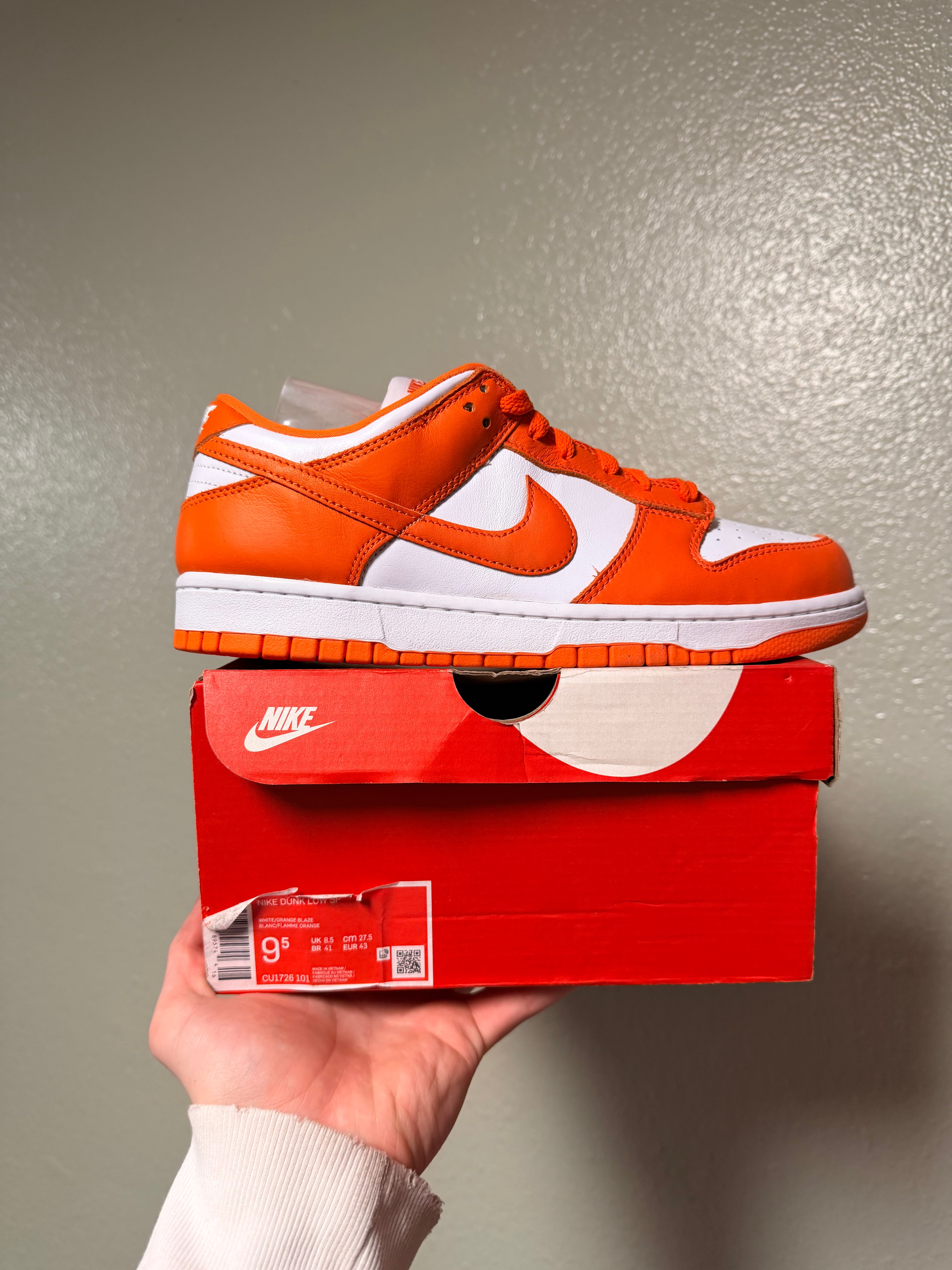Nike Dunks Low