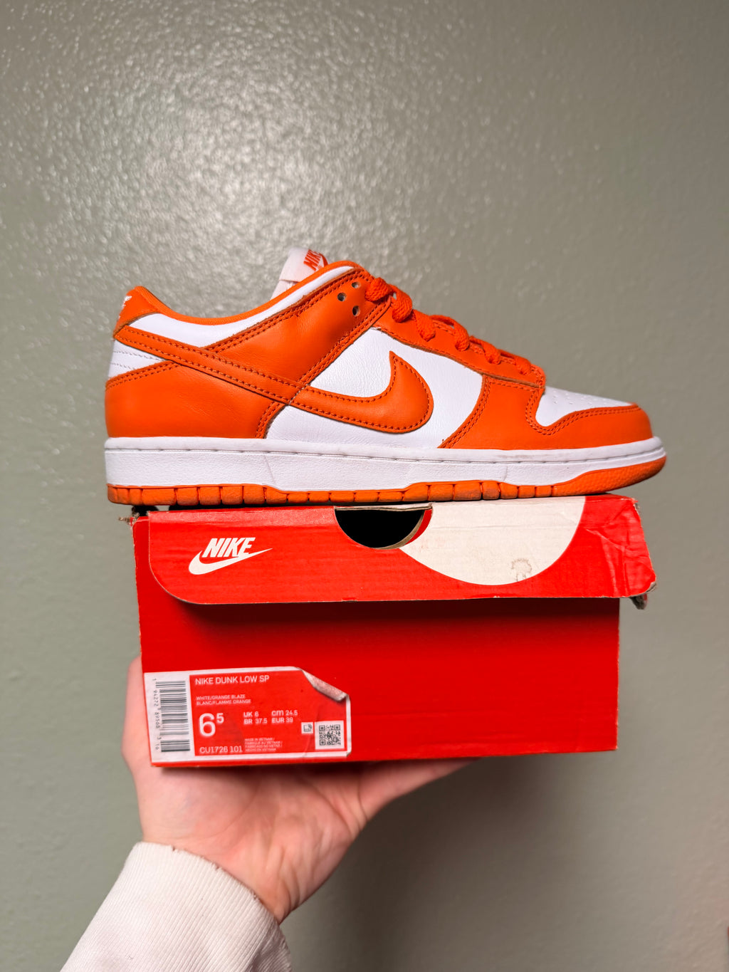 Nike Dunk Low